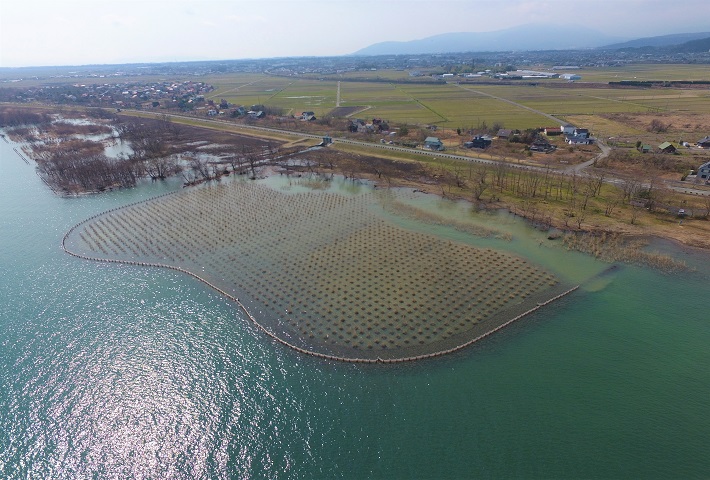 びわ湖地区　湖西工区ヨシ帯造成その２工事